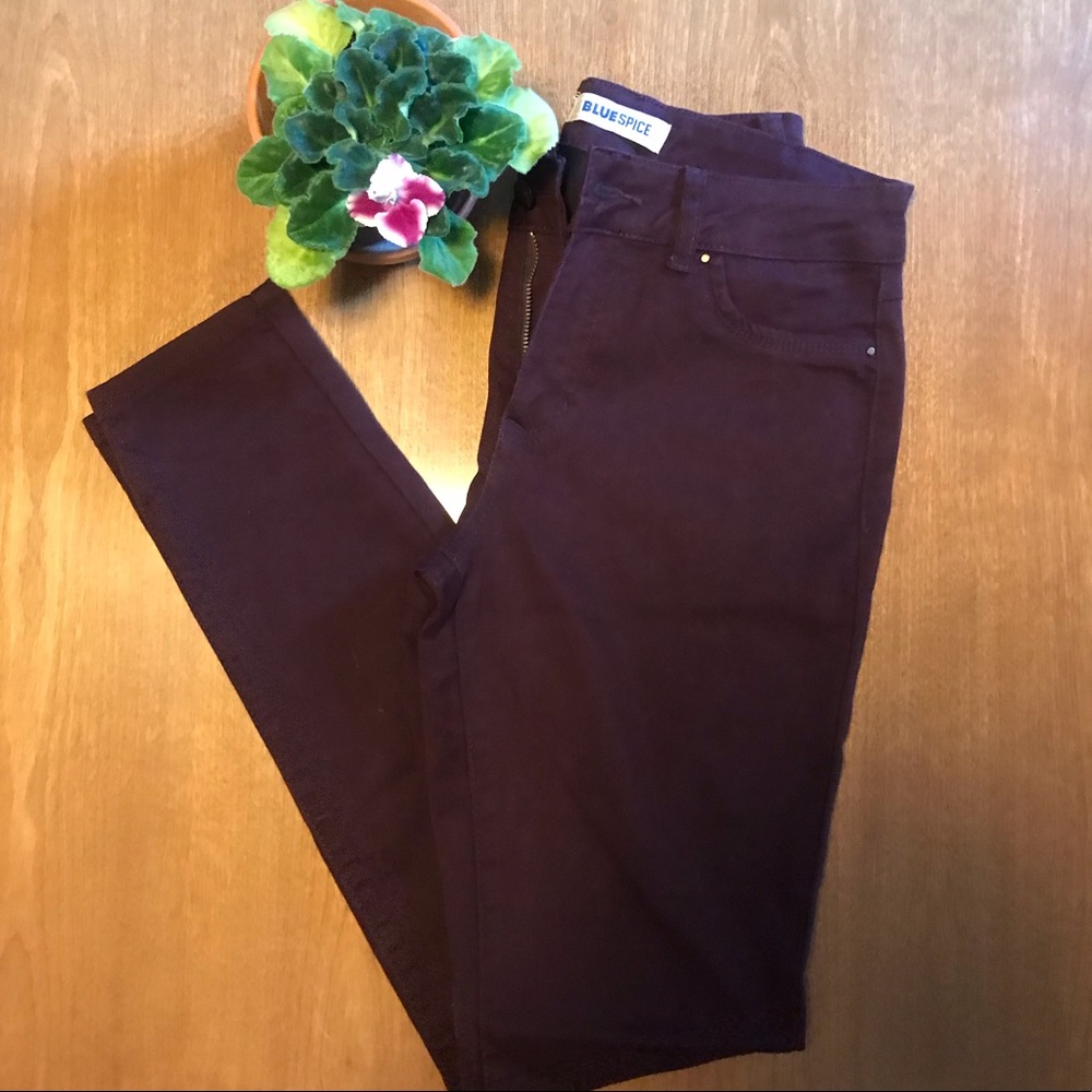 NWOT Blue Spice maroon pants